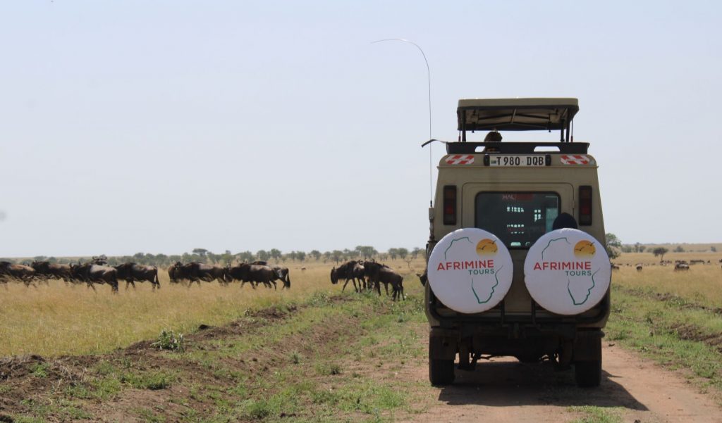 great-migration-serengeti